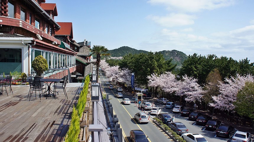 Dalmaji-gogae